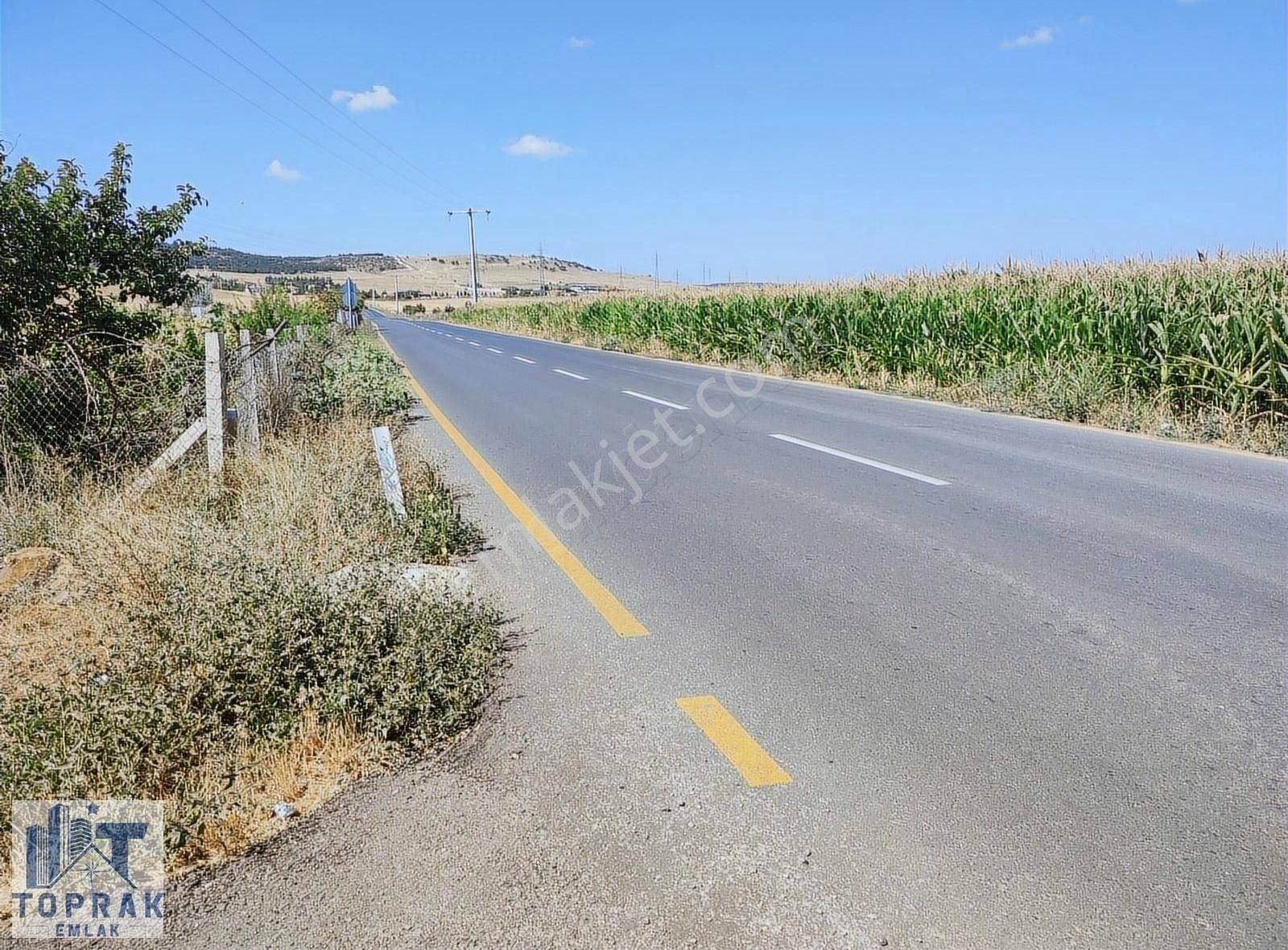 Odunpazarı Gülpınar Satılık Tarla Toprak Emlaktan Odunpazarı Gülpınar Da Yatırım Fırsatı Tarla