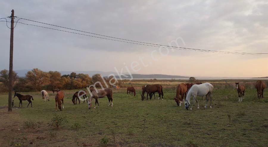 Karacabey Eskikaraağaç Kiralık Çiftlik İnvestaş Global Gayrimenkul’den Kiralık At Çiftliği