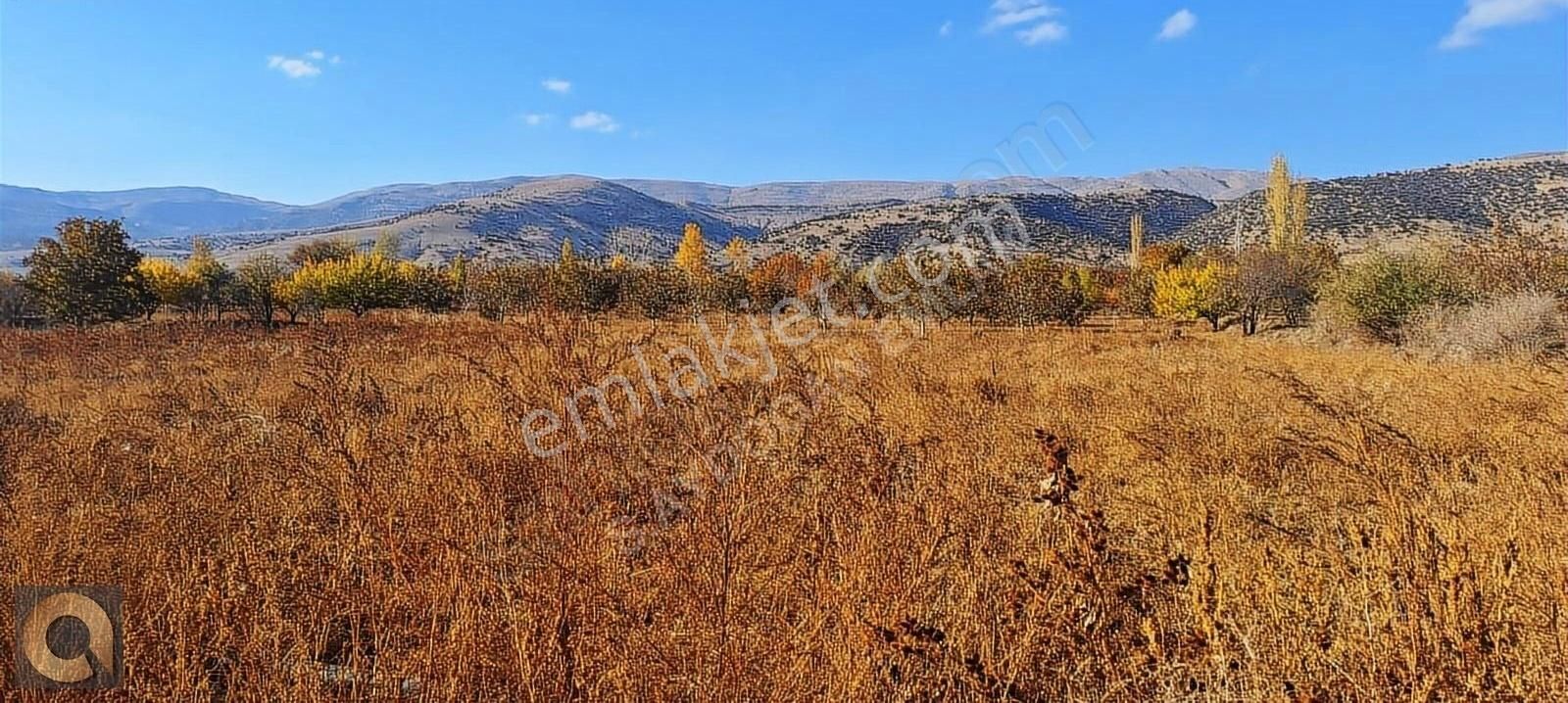 Senirkent İstiklal Satılık Bağ & Bahçe Isparta Senirkent İstiklal 1400m2 Yolu Var