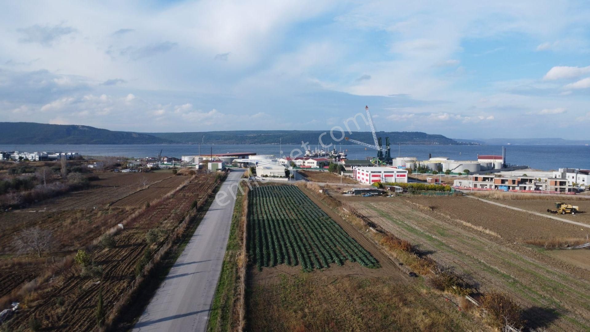 Çanakkale Merkez Kepez Bld. (Cumhuriyet) Satılık Bağ & Bahçe Kepez Liman Yolunda Satılık 2955m2 Meyve Bahçesi Han Emlak'tan