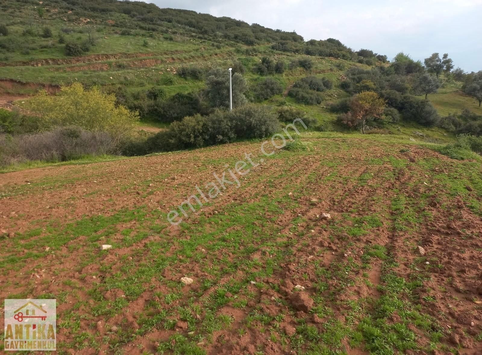 Ödemiş Uzundere Satılık Tarla Antika Gayrimenkul'den Uzundere De 6000 M² Satılık Tarla