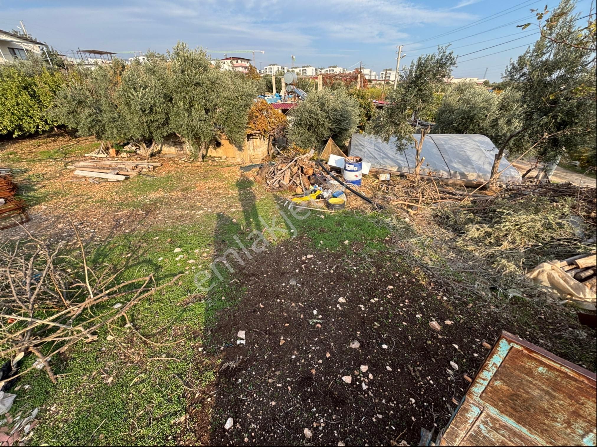 Silifke Bolacalıkoyuncu Satılık Tarla Satılık Yatırımlık Parsel