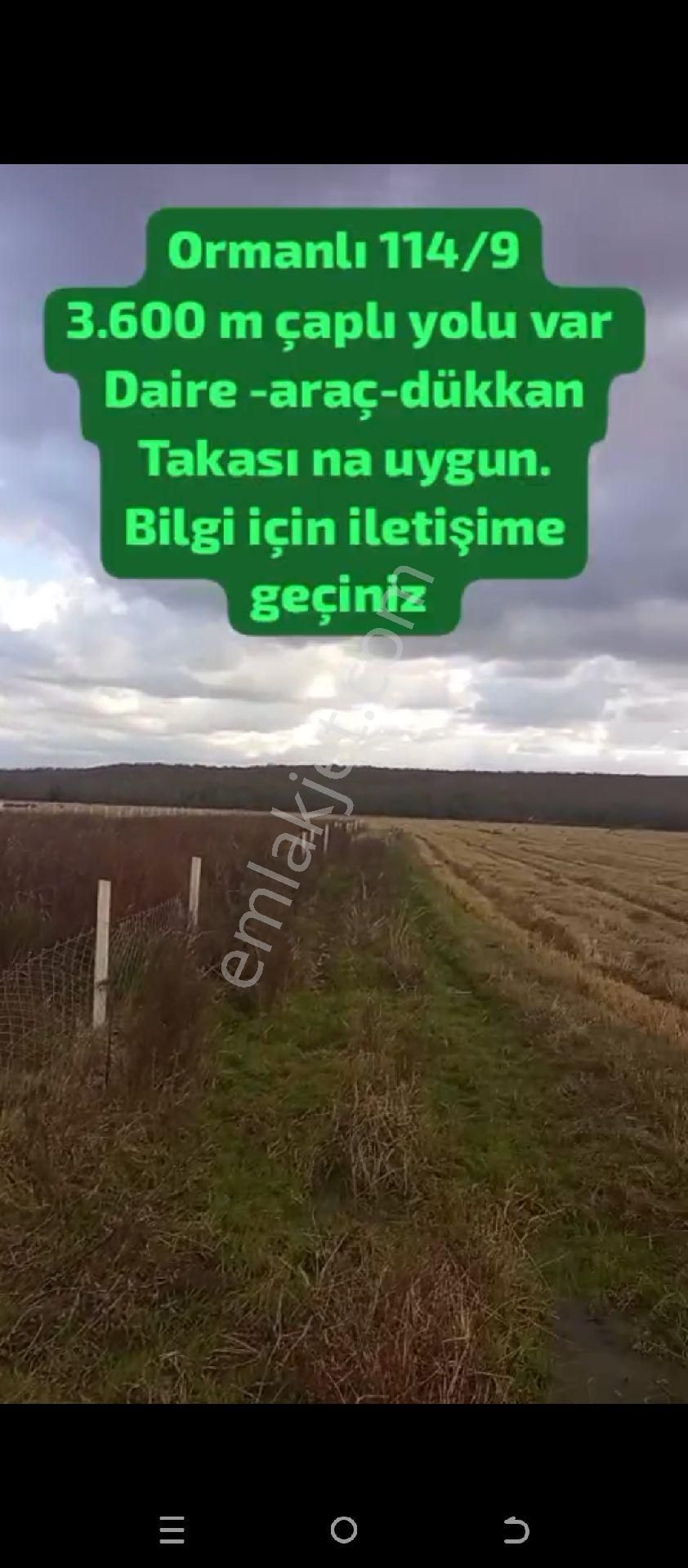 Çatalca Ormanlı Satılık Tarla Çatalca Ormanlı 3600 Metre Çaplı Yolu Var