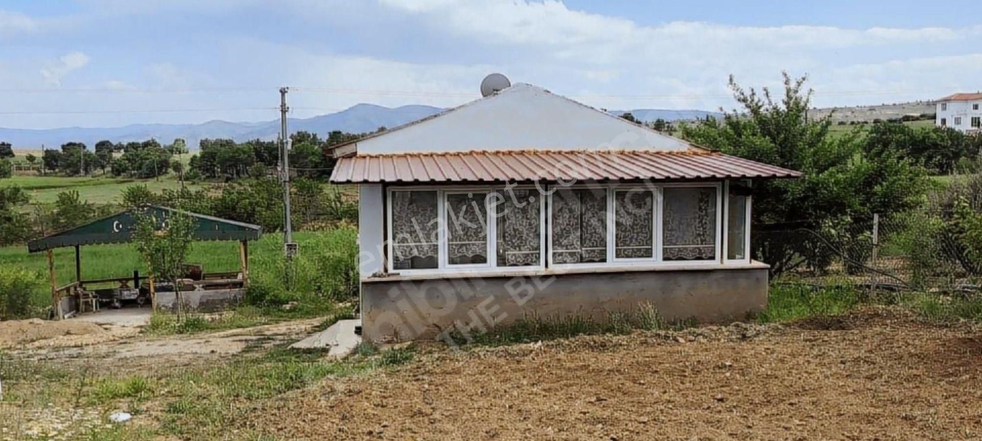 Elazığ Merkez Işıkyolu Köyü Satılık Tarla The Best'ten Işık Yolunda Satılık Bahçeli Ev