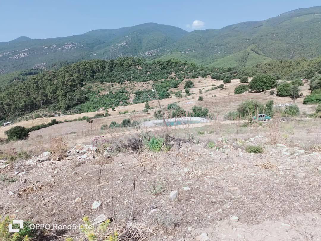 Kumluca Yenikışla Satılık Tarla Antalya Kumluca Yenikışla Mahallesi Satılık Tarla 5 Dönüm