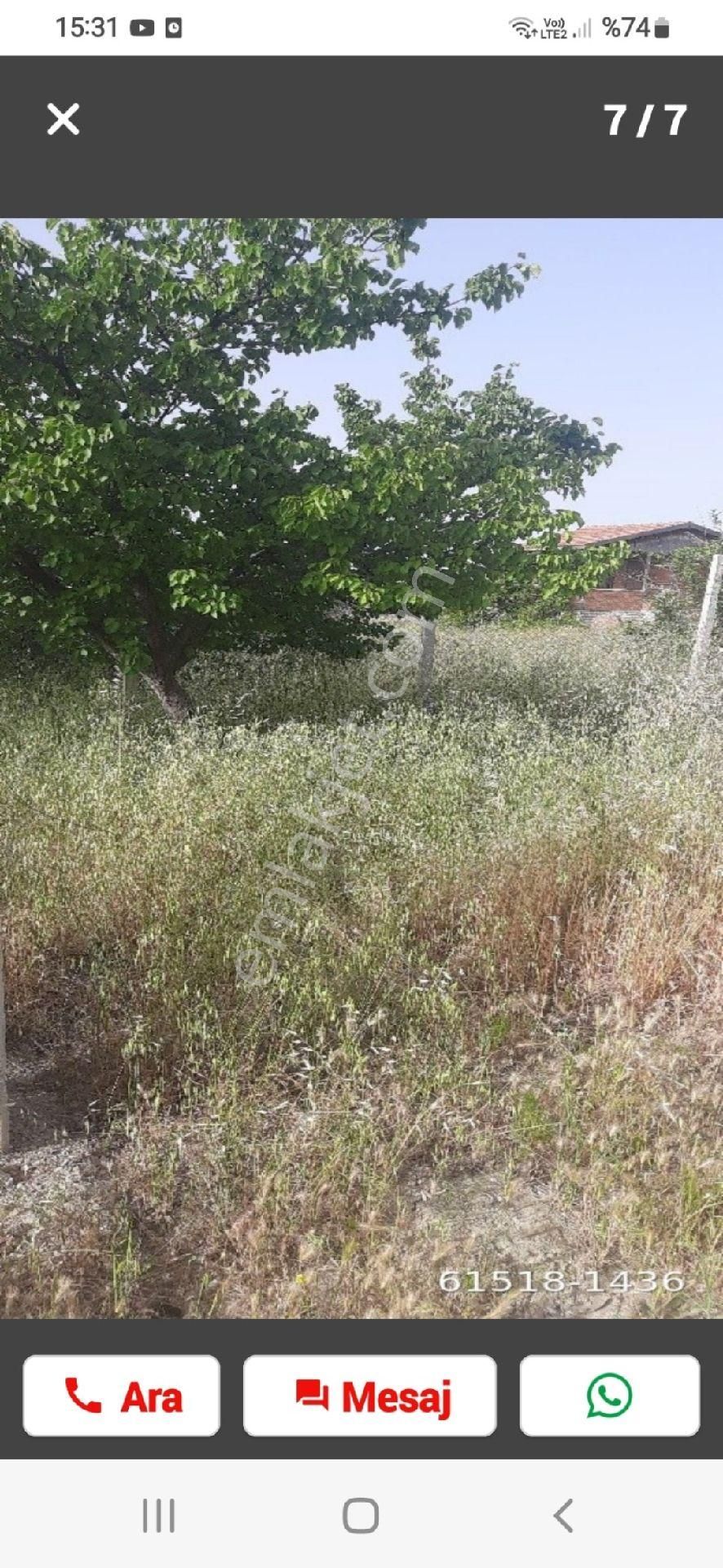 Polatlı Zafer Satılık Bağ & Bahçe Şentepe İmarlı Satılık Bağ Yeri Mustakil Tapulu