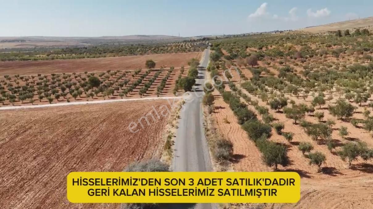 Şahinbey Çöreklik Satılık Tarla Mesken Emlak'dan Çöreklide Resmi Yol Üstü Fırsat Bağevlik Yer