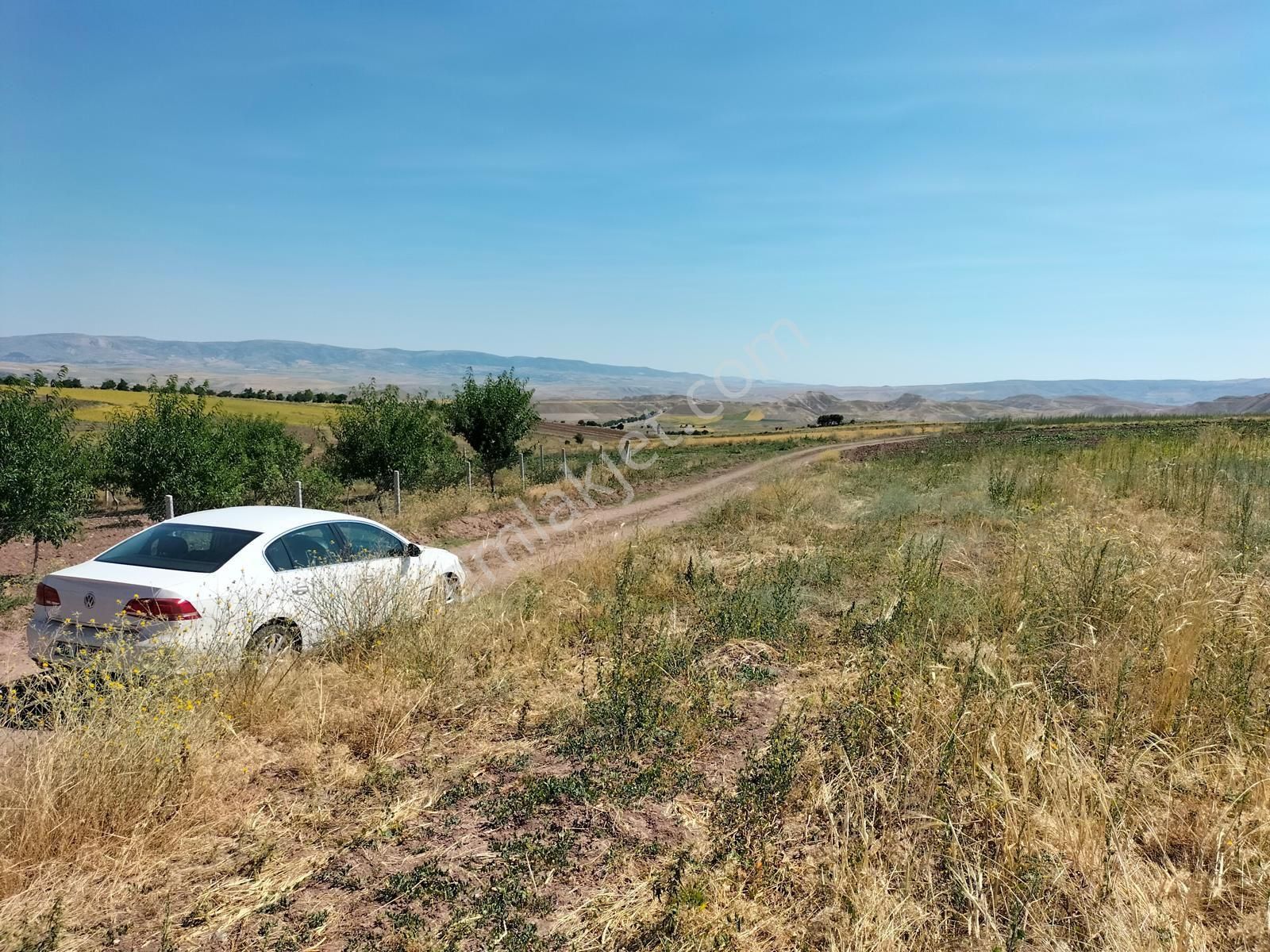 Kupon Arsa Ve Tarlalar