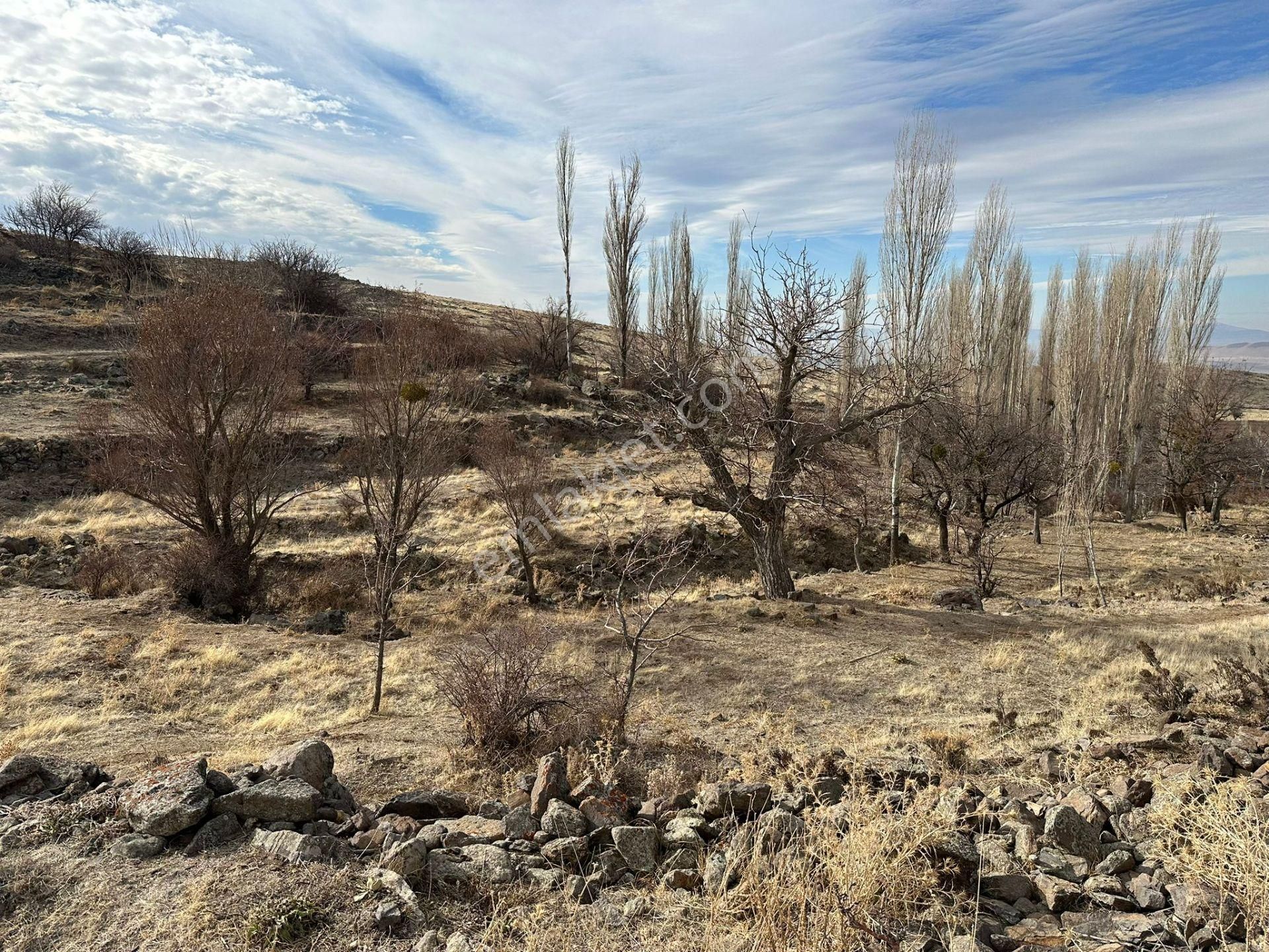 Develi Yedek Satılık Bağ & Bahçe Öz Gaye Emlaktan Develi Yedek Mahallesi Sona Mevkiinde Satılık Arazi