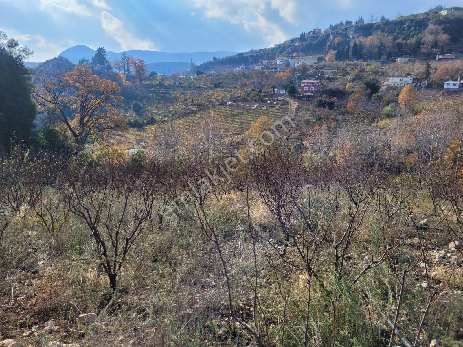 Toroslar Gözne Satılık Bağ & Bahçe Fa Emlaktan Gözne Darısekisinde 5060m2 Satılık Erik Bahçesi