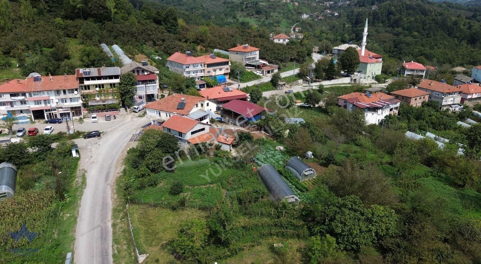 Amasra Kazpınarı Köyü (Merkez) Satılık Konut İmarlı 2130m2 İmarlı 3 Parsele Bölünmüş Amasra Yolu Kenarı Satılık Arsa