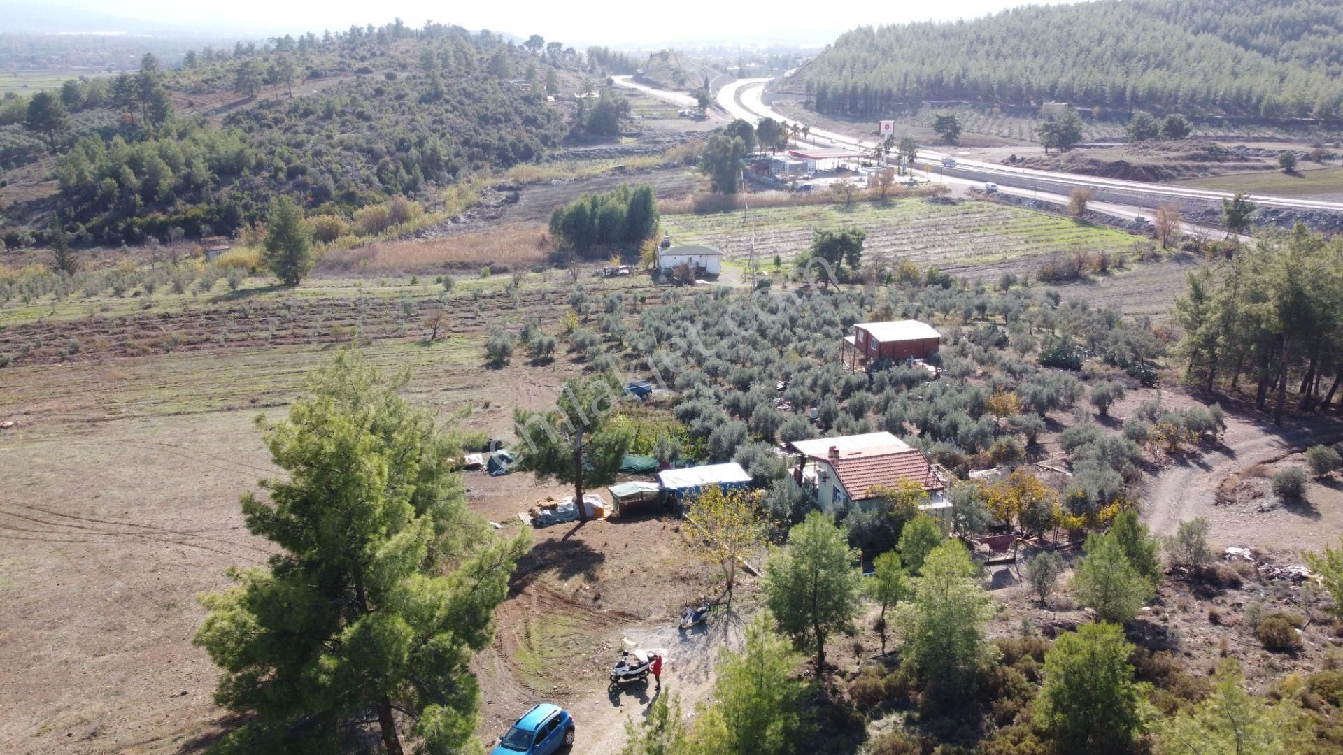 Seydikemer Uğurlu Satılık Tarla Seydikemer Uğurluda Satılık Tarla