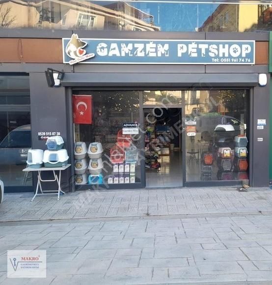 Pendik Şeyhli Devren Dükkan & Mağaza Devren Kiralık Pet Shop