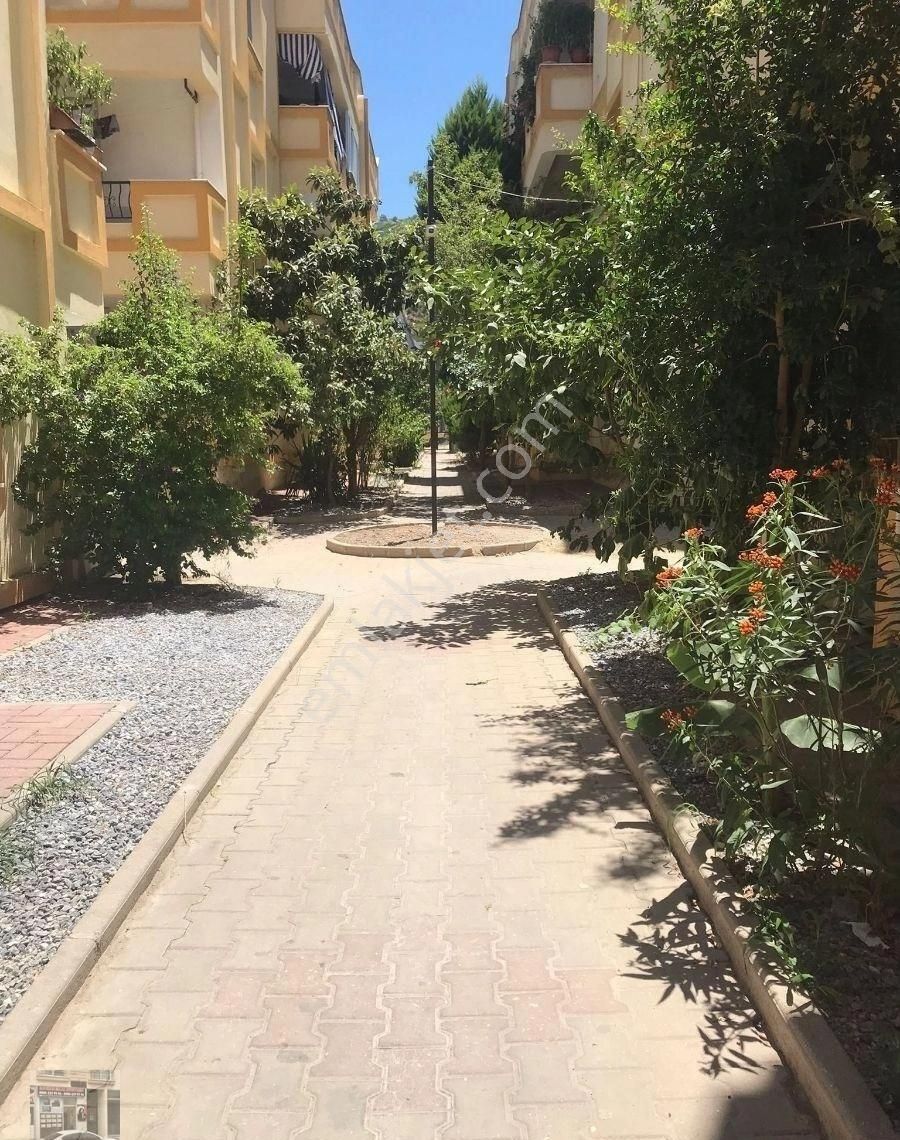 Muğla/milas/güllükte Sahile Yürüme Mesafesinde 2+1düz Ayak Girişli Mobilyalı Kiralık Daire - Görsel 19