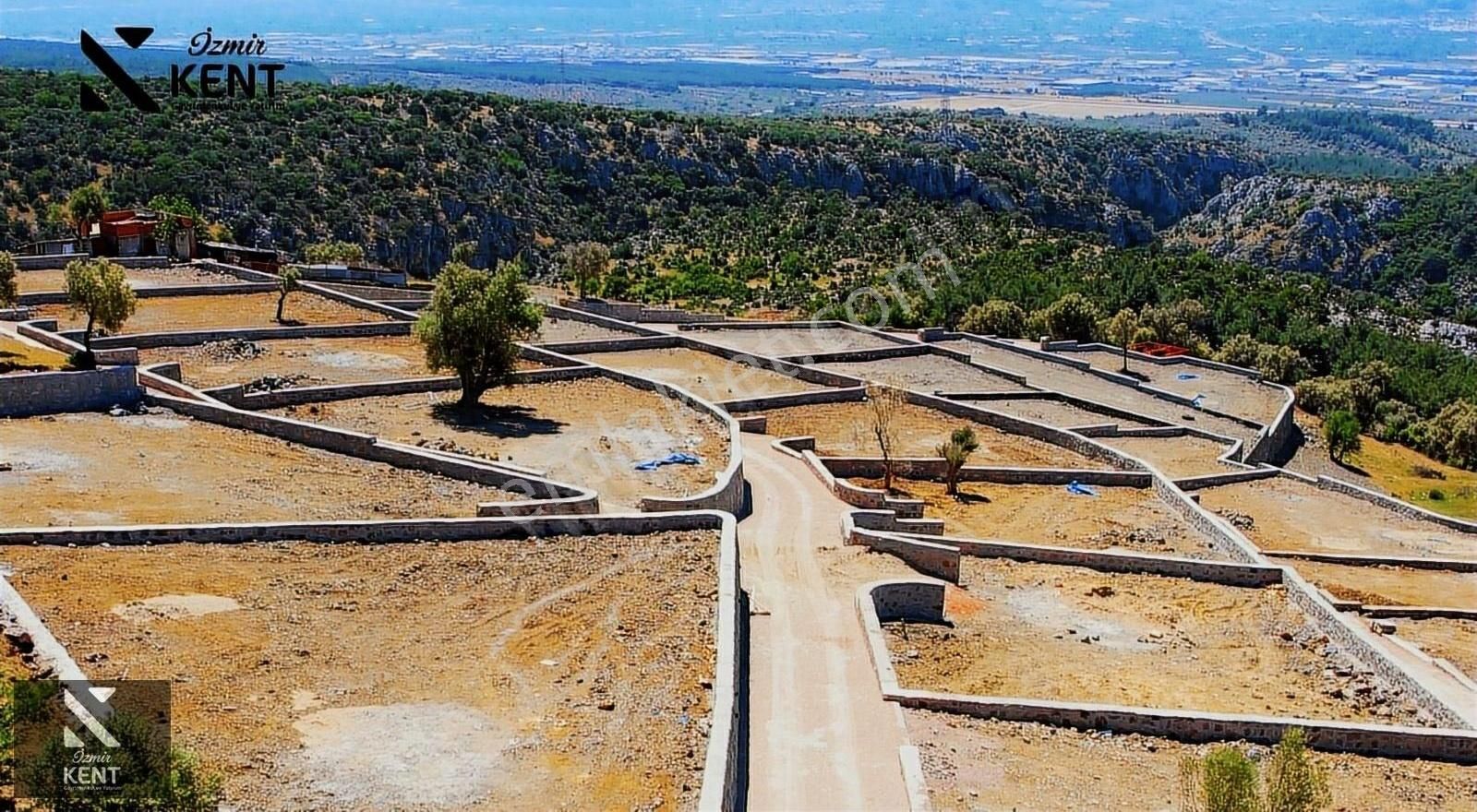 Kemalpaşa Ansızca Satılık Bahçe 607 M2 - Görsel 7