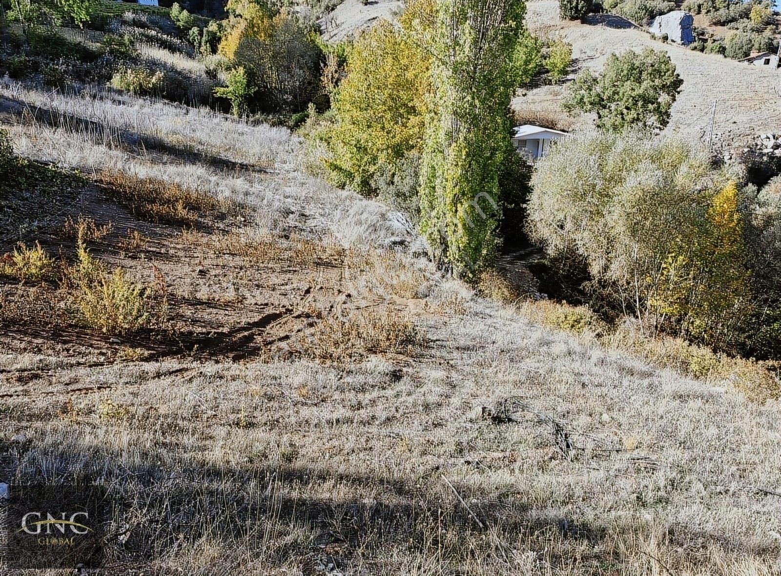 Konyaaltı Doyran Satılık Tarla Sinan Değirmeninde Yola Cepheli Rızaı Taksimli Tarla