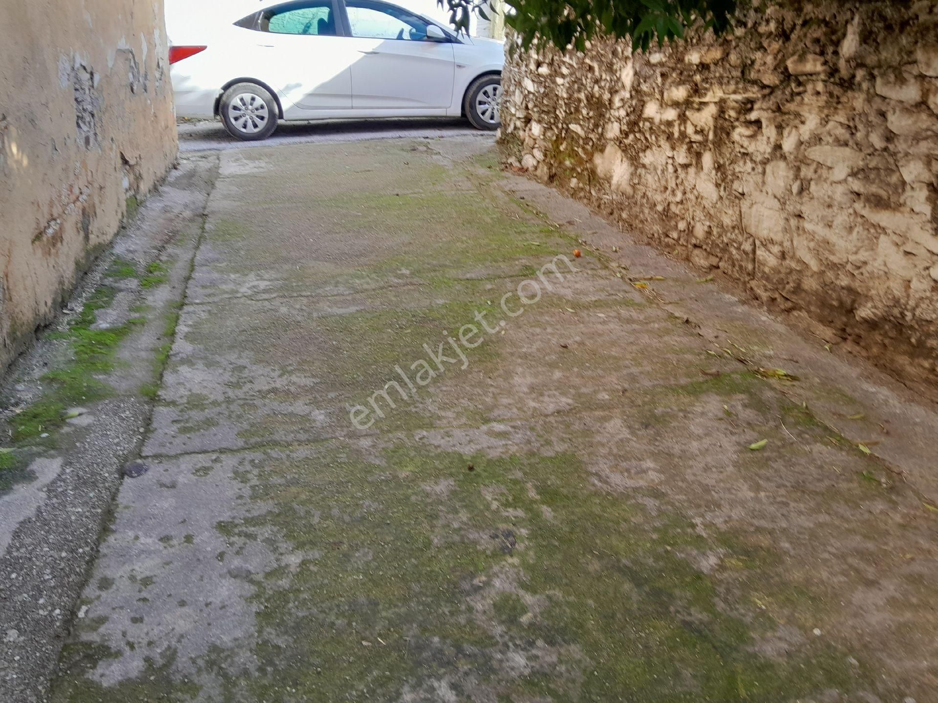Milas Bafa Mah De Satılık Kargı Ev Ve Avlu - Görsel 7