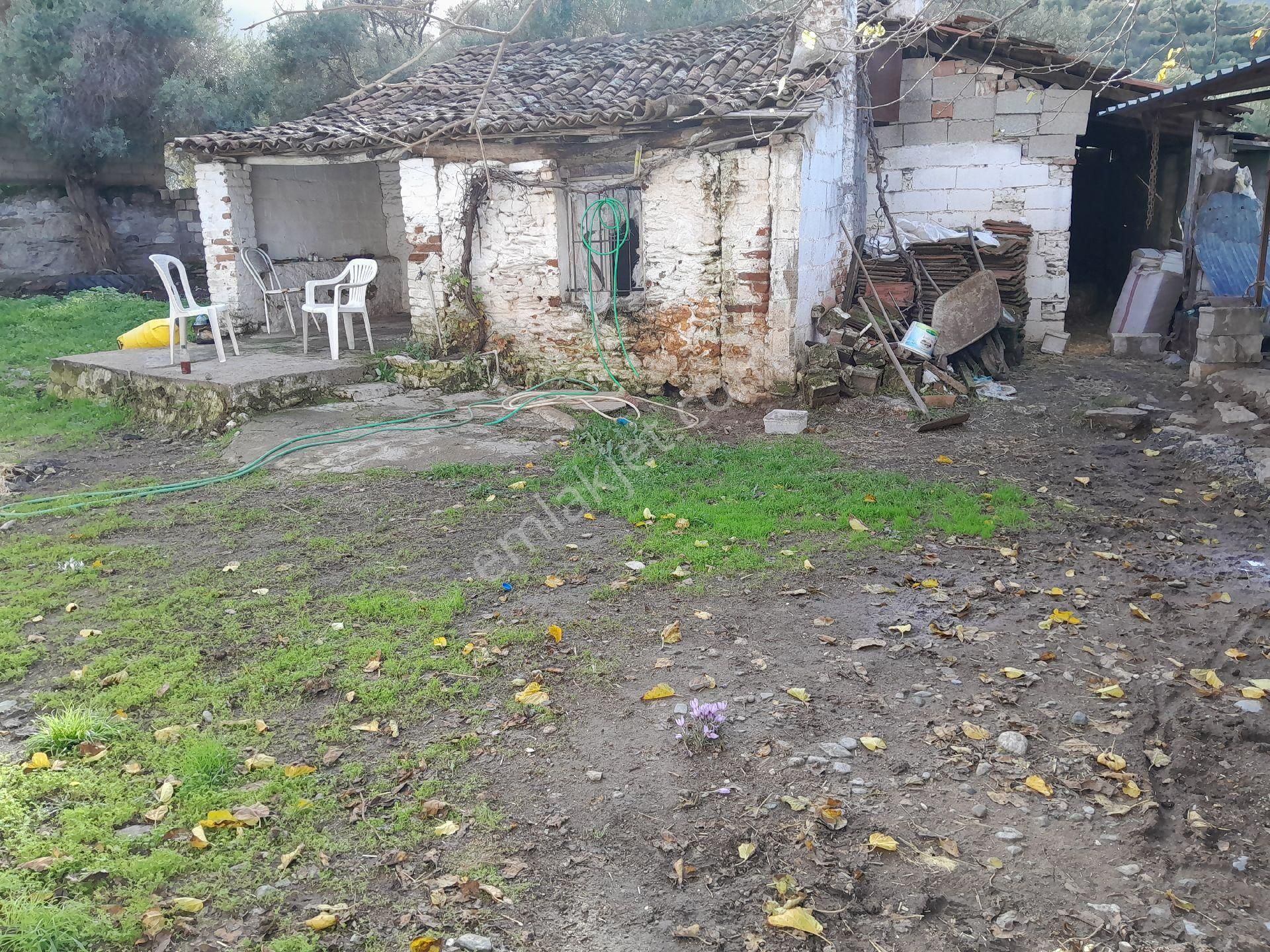 Milas Bafa Mah De Satılık Kargı Ev Ve Avlu - Görsel 5