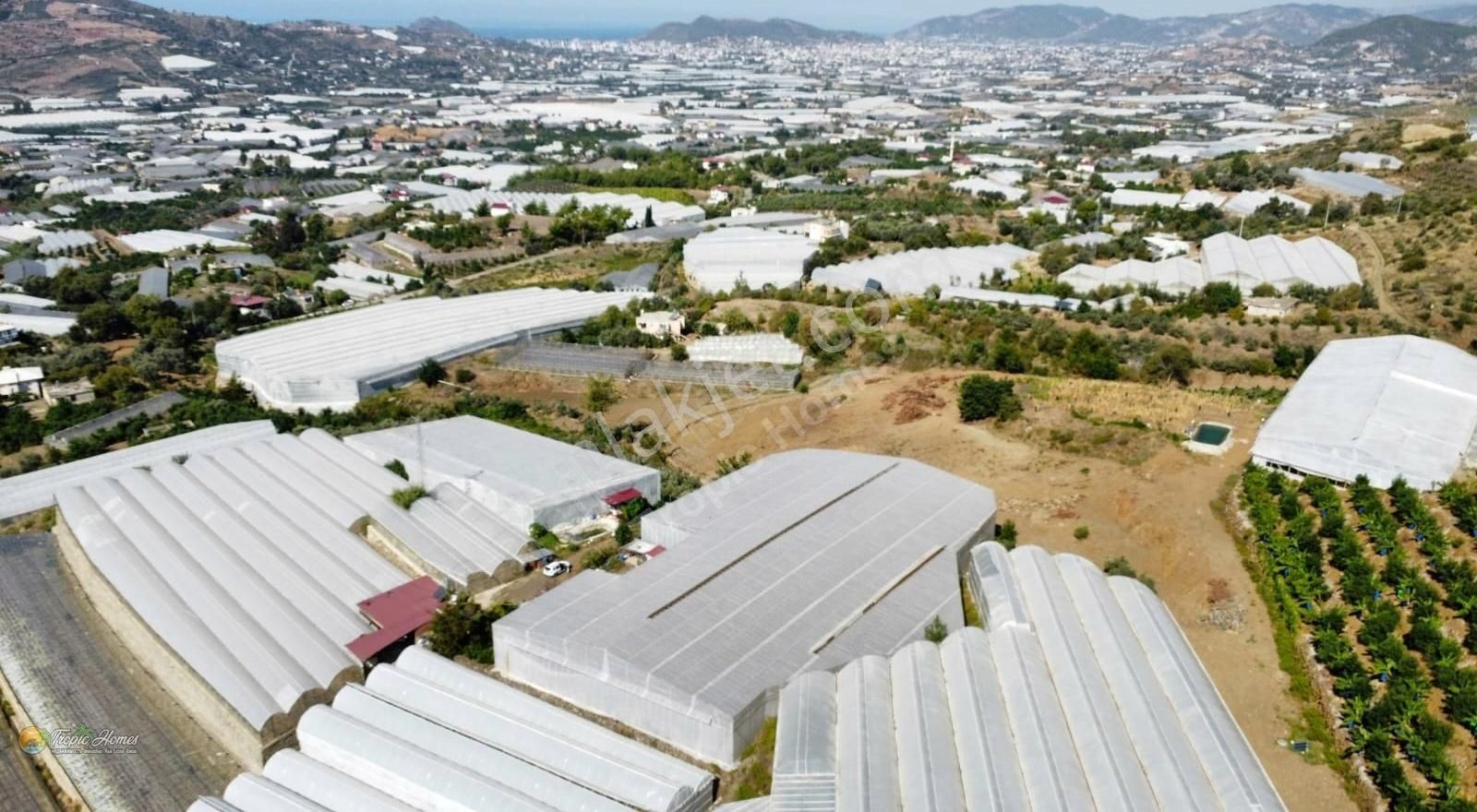 Gazipaşa Çobanlar Satılık Tarla Gazipaşa Çobanlar Mahallesi'nde Hazır Kurulu Sera