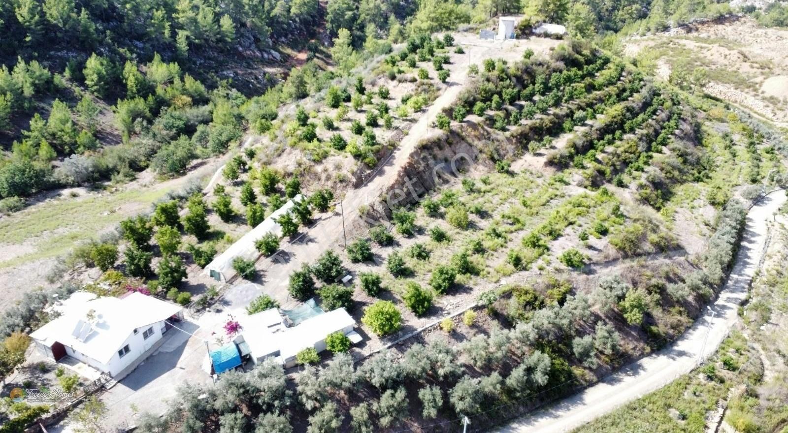 Alanya İmamlı Satılık Tarla Alanya İmamlı Mahallesi'nde Satılık Ev Ve Arazi