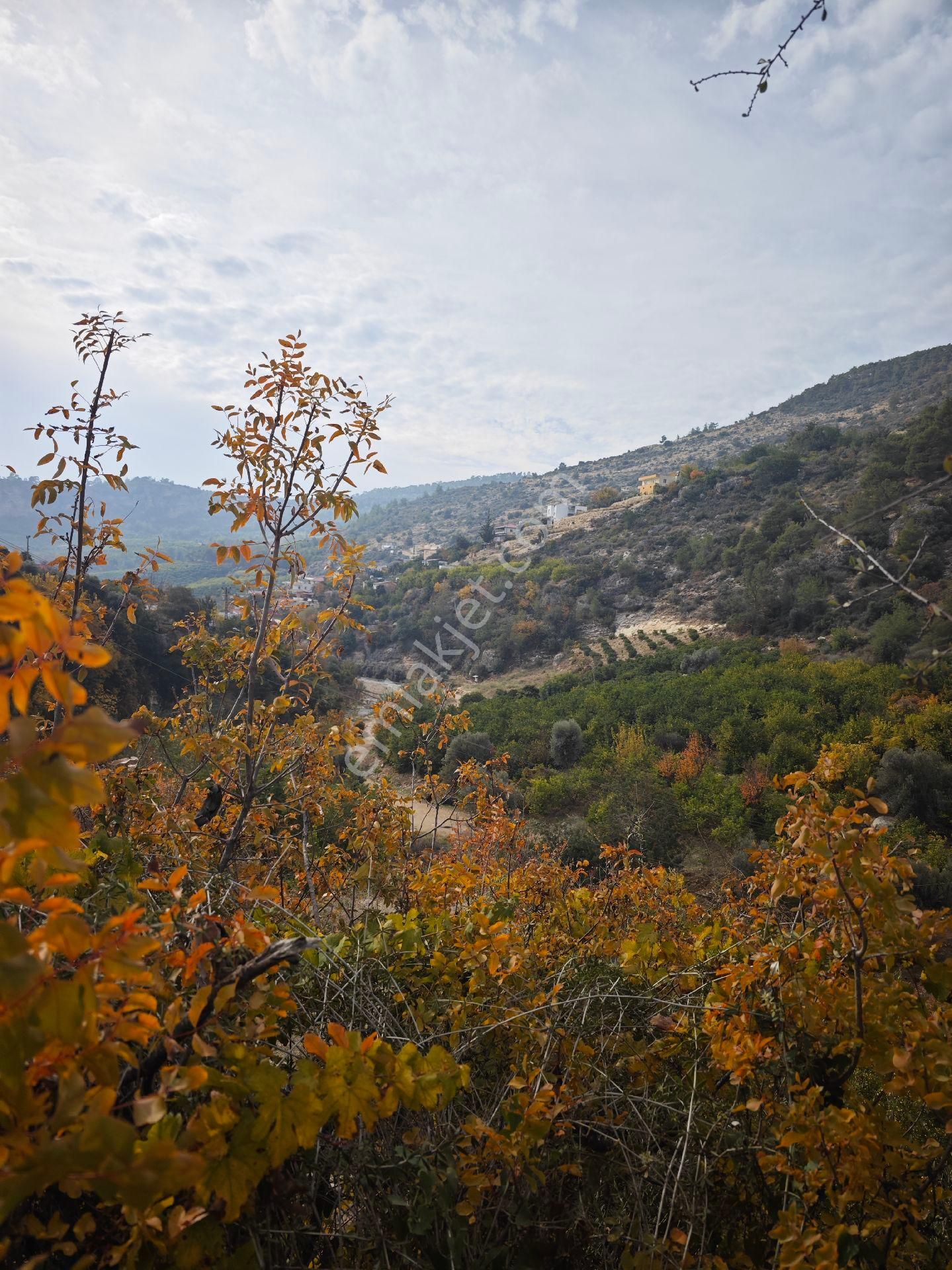 Mezitli Doğlu Satılık Tarla Mezitli Doğlu Mahallesi 870 M2