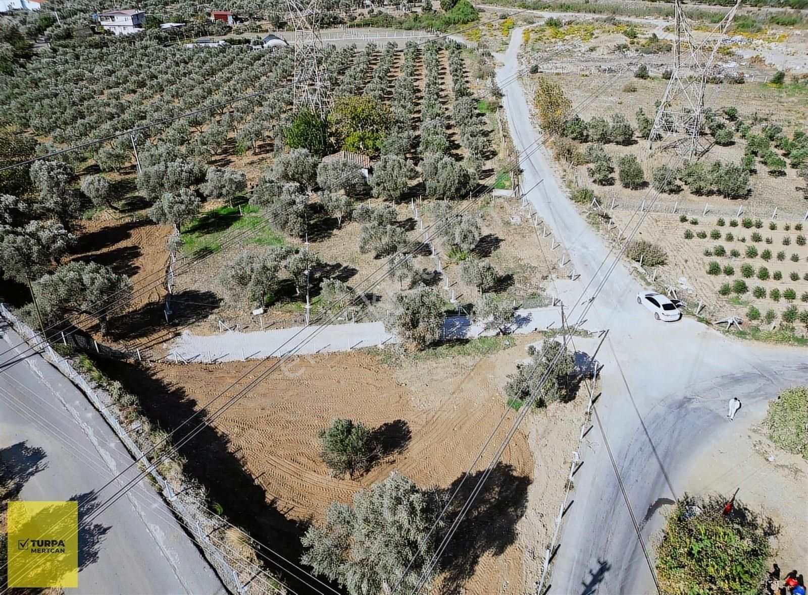 Torbalı Karakuyu Satılık Tarla Torbalı Karakuyu'da İmar Uygulamasında 400 M2 Satılık Parseller