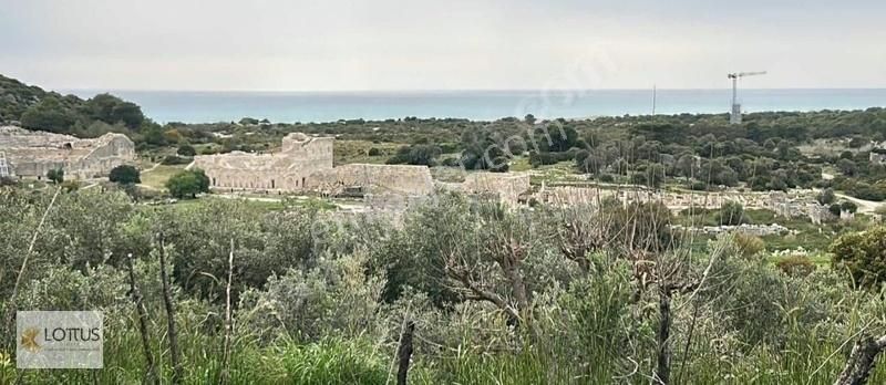 Kaş Gelemiş Satılık Tarla Muhteşem Manzaralı Yatırımlık Arsa