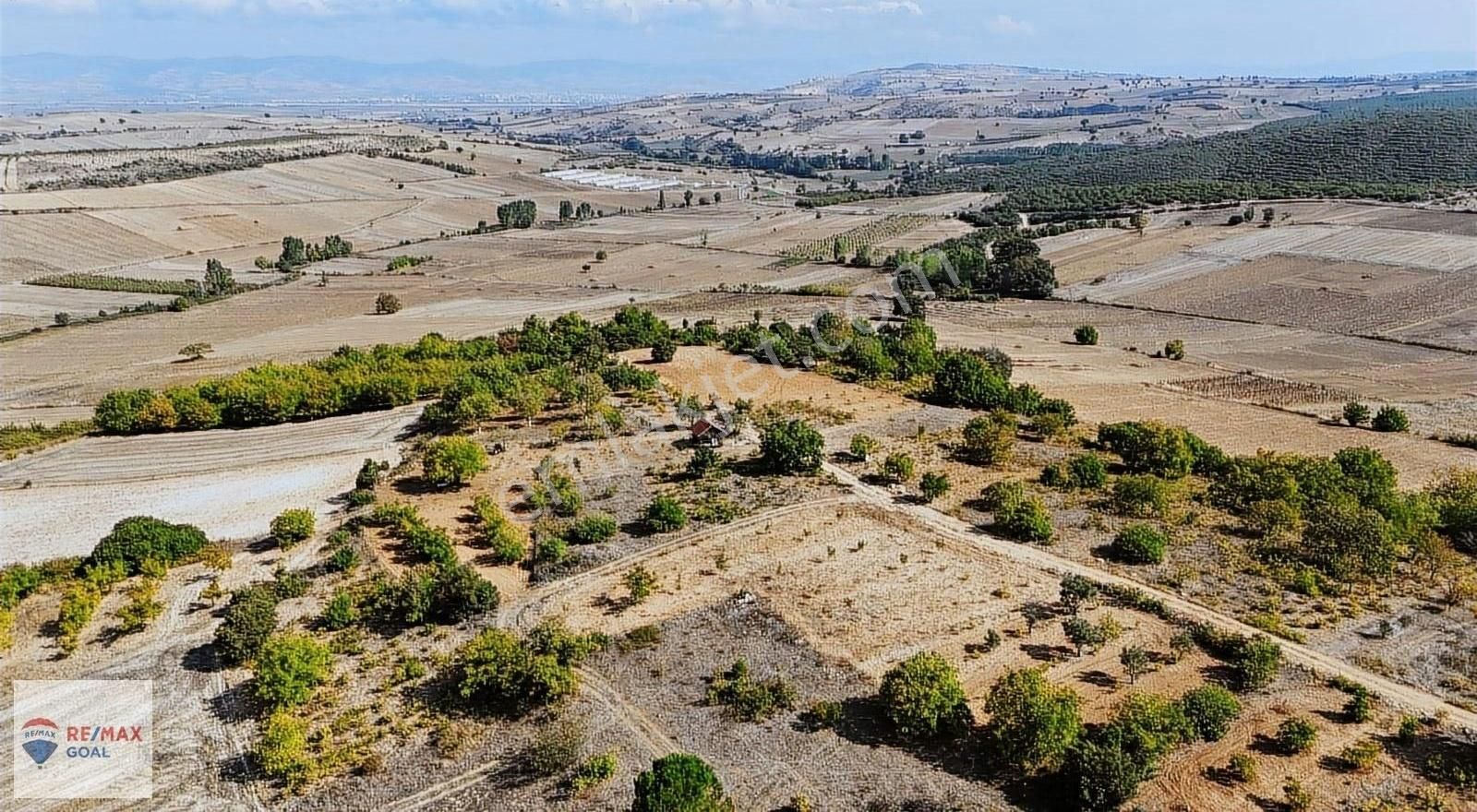 Yenişehir Osmaniye Satılık Tarla Bursa Yenişehir Yatırımlık Bağ Evi Konteyner Yapımına Uygun