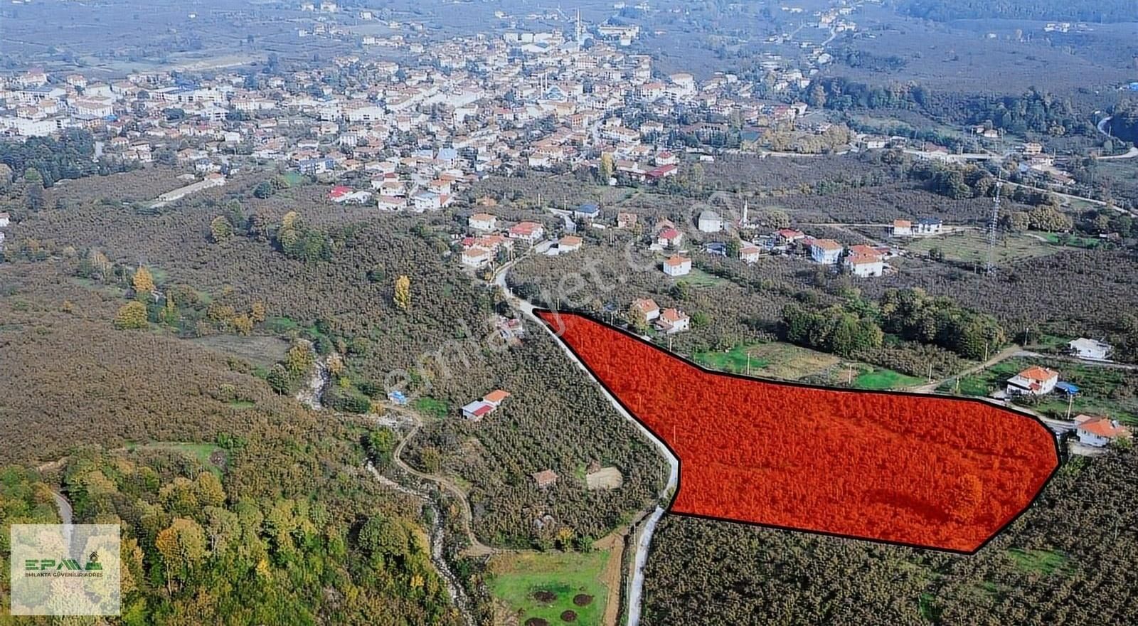 Karapürçek İnönü Satılık Tarla Epa Tekbirden Karapürçek Merkezde 15 Dönüm Fındıklık