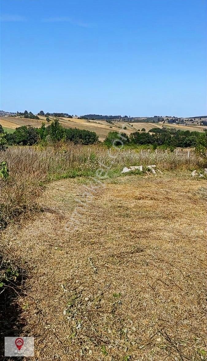 Kocaeli Kandıra'da Satılık Müstakil Ev Müstakil Parsel 2400 M2 - Görsel 3