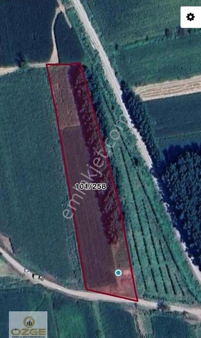 Düzce Merkez Gölormanı Köyü (Merkez) Satılık Tarla Özge Yapı Gayrimenkulden Gölormanı Köyünde 3.588 M2 Satılık Tarla