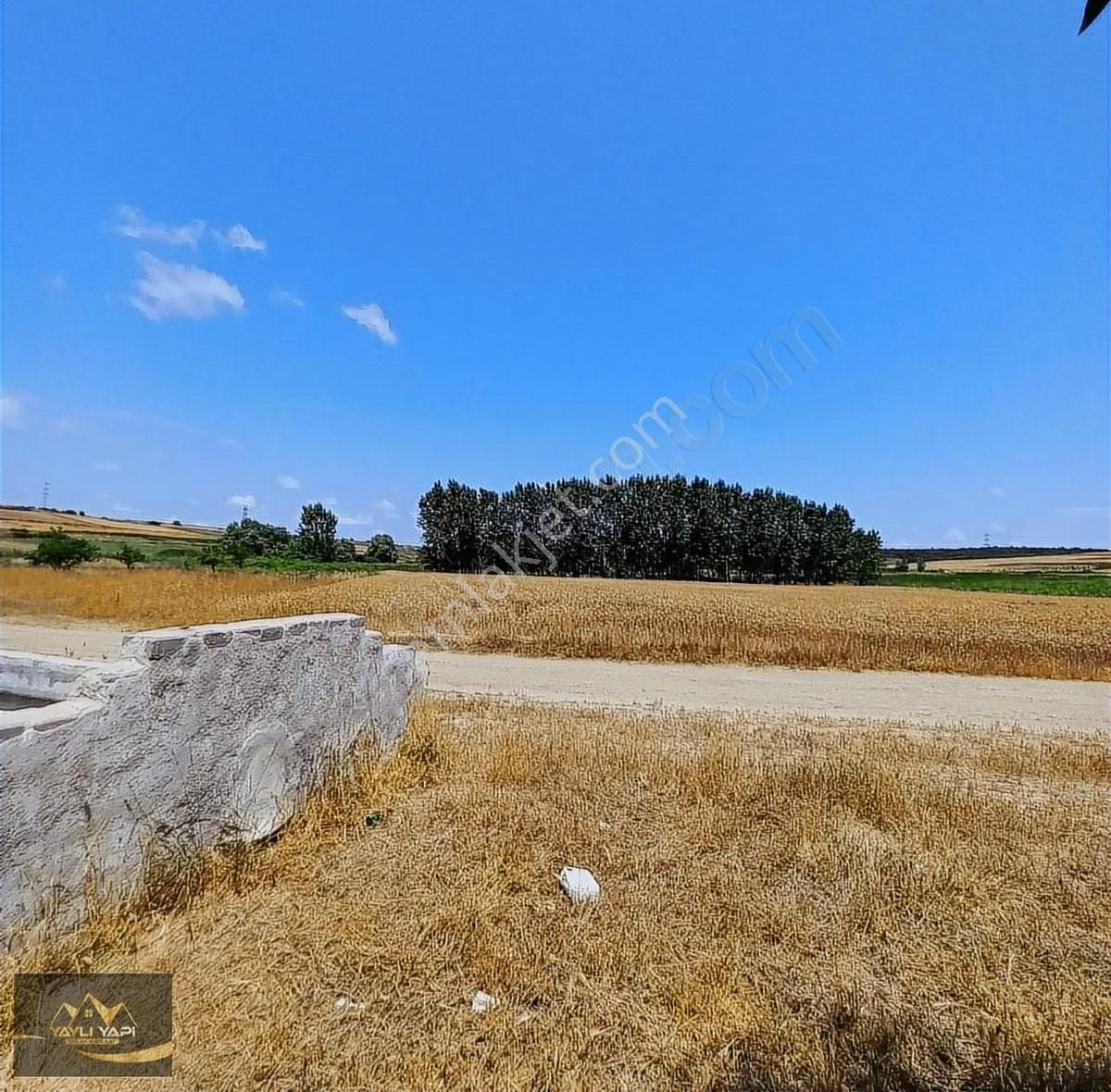 Tek Tapu 2234 M Satılık Tarla - Görsel 5