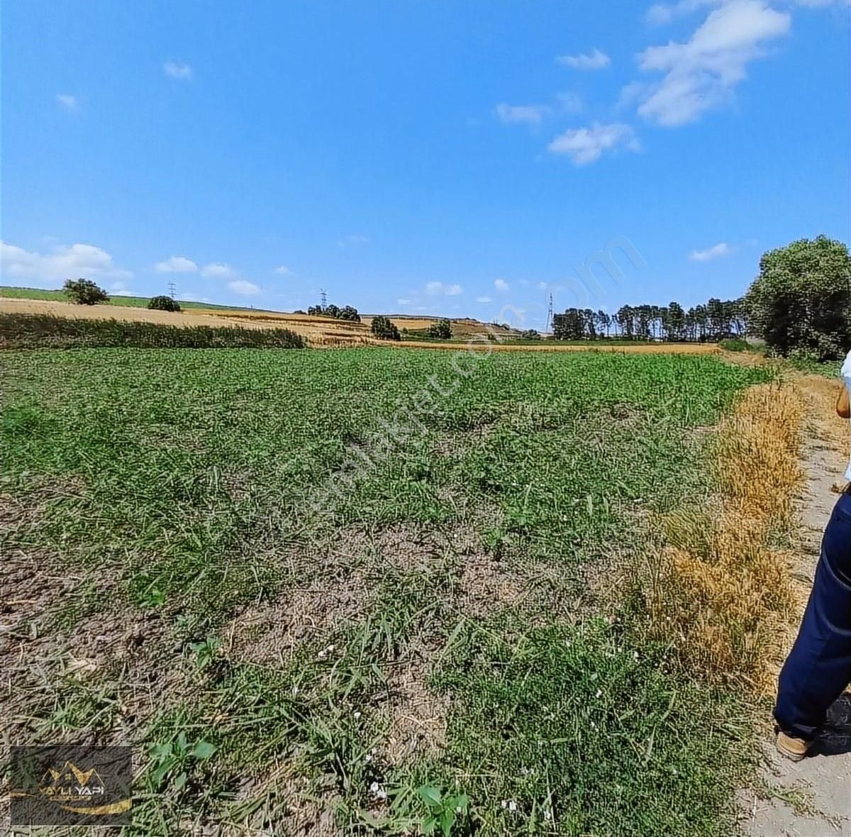 Tek Tapu 2234 M Satılık Tarla - Görsel 3
