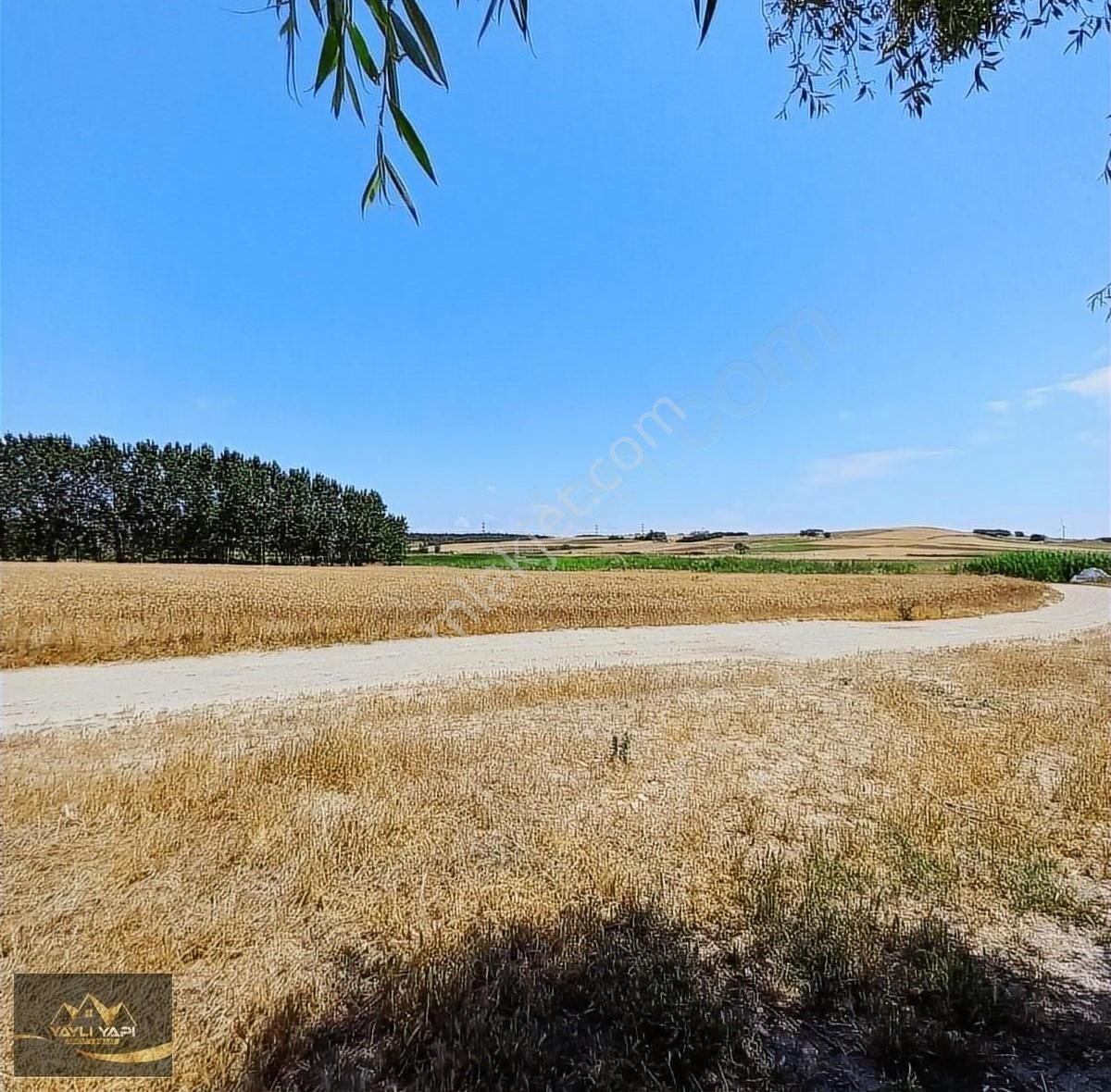 Tek Tapu 2234 M Satılık Tarla - Görsel 4