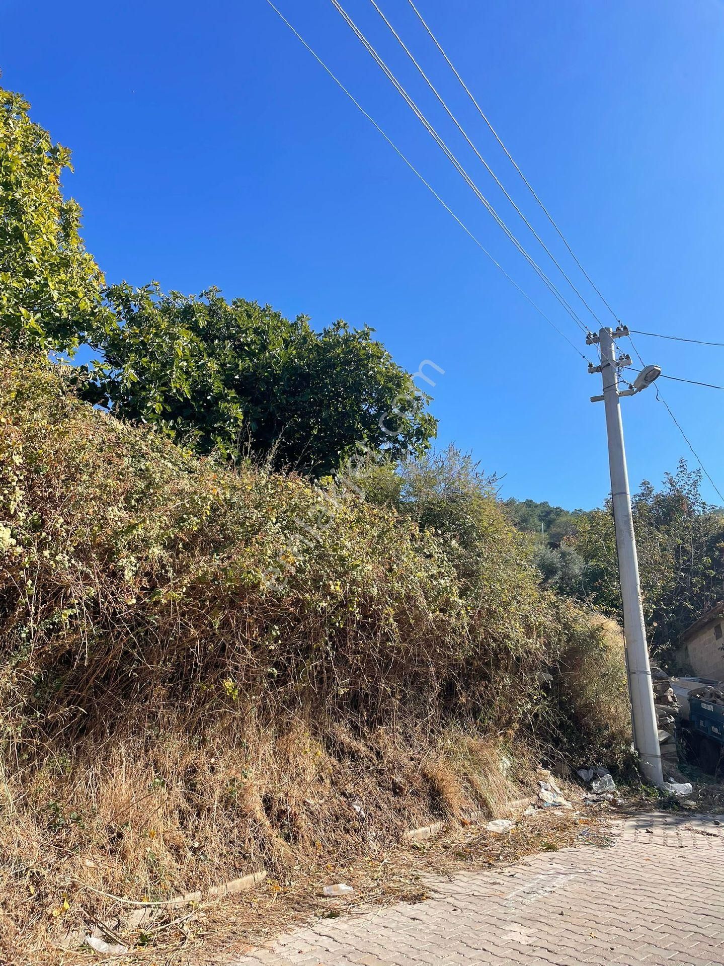 Burax Emlaktan Kemalpaşa Cumalıda Satılık 6 Donum Bag - Görsel 6