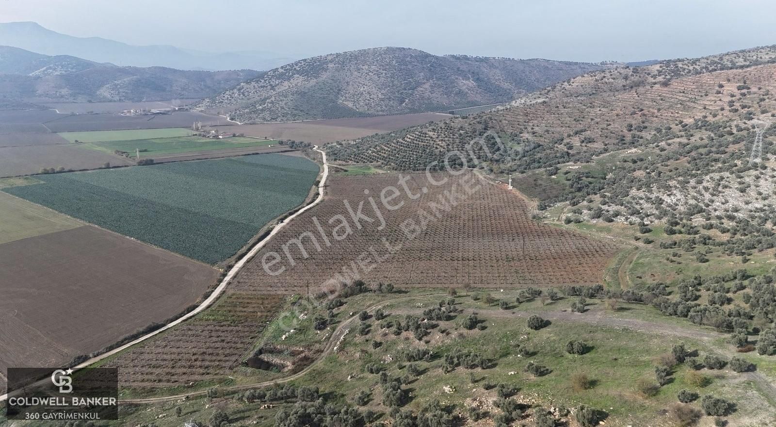 Tire Hasançavuşlar Satılık Tarla Satılık Şeftali Bahçesi