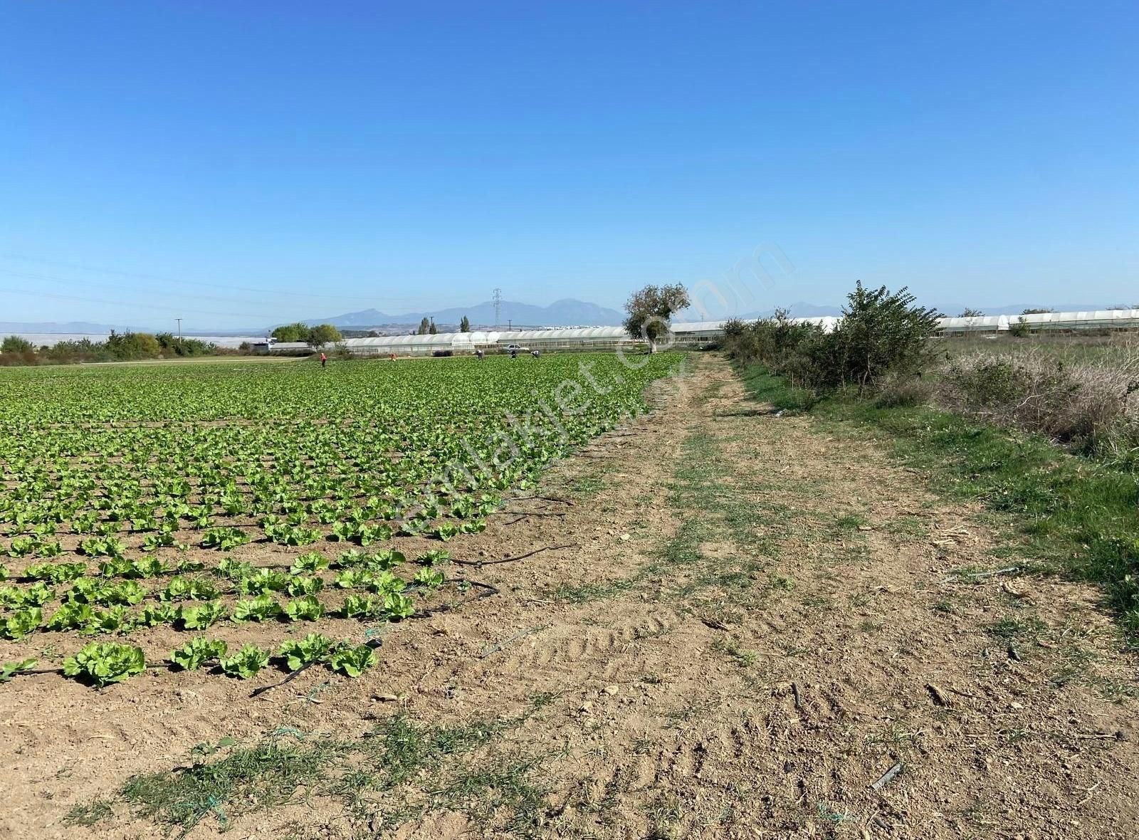 Değirmendere'de Satılık Tek Tapu Meşe Emlak'tan - Görsel 10