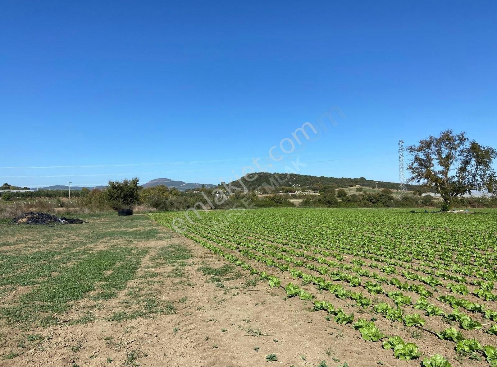 Değirmendere'de Satılık Tek Tapu Meşe Emlak'tan - Görsel 9