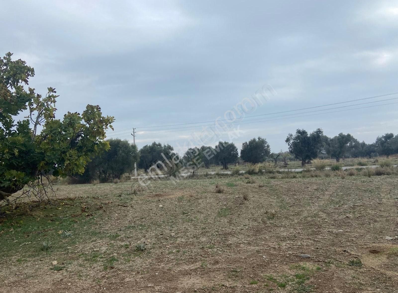 Menderes Görece Mahallesin'de Satılık Tarla - Görsel 20