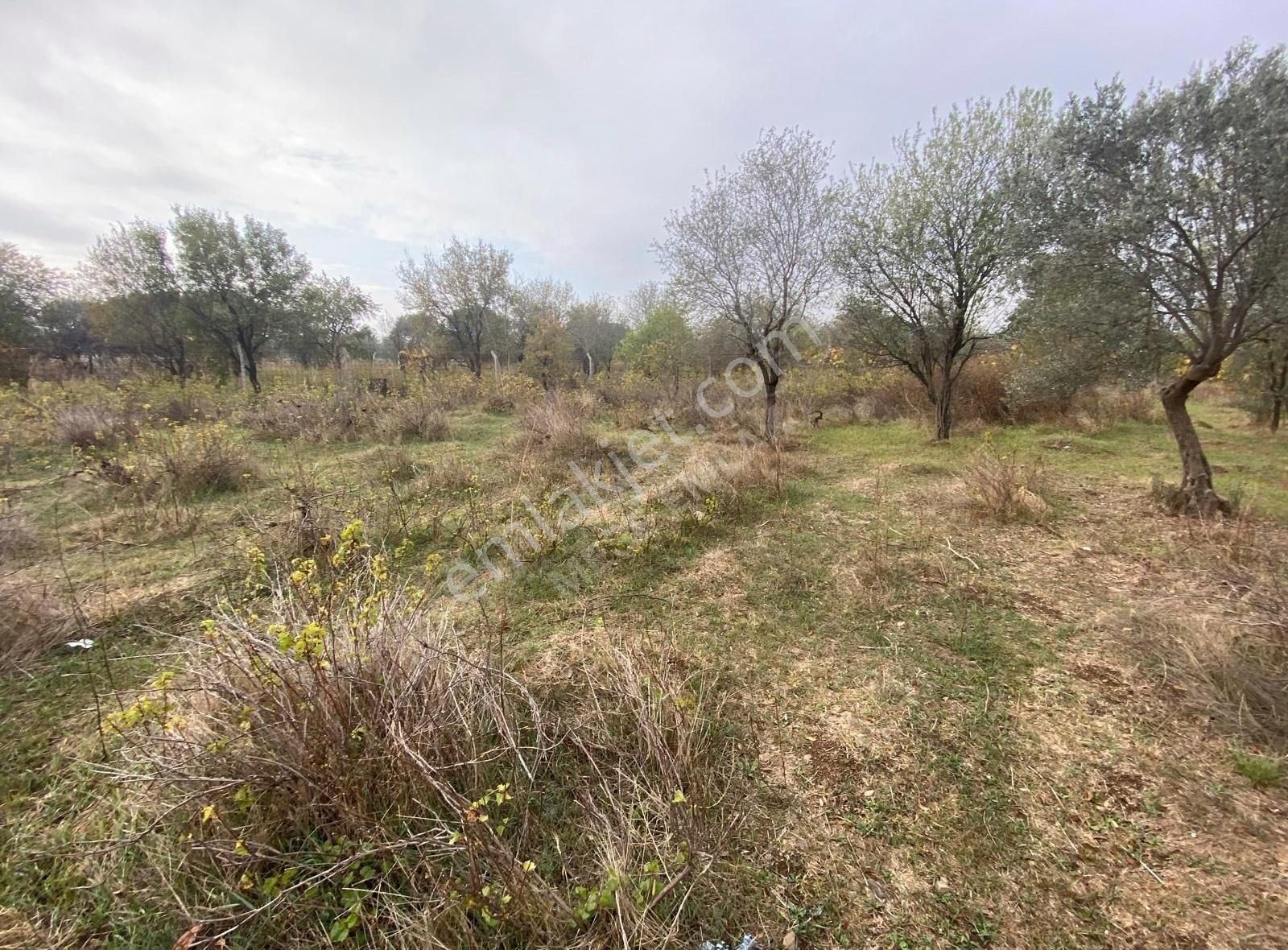 Menderes Görece Mahallesin'de Satılık Tarla - Görsel 8