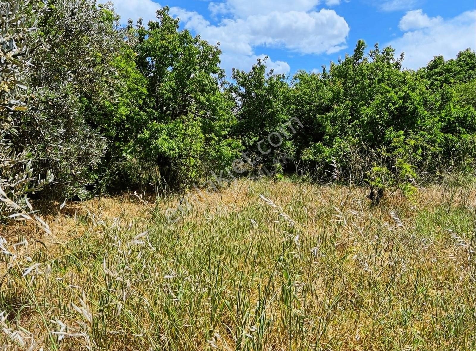 Menderes Değirmendere'de Mahallesin'de Satılık Bahçe - Görsel 3