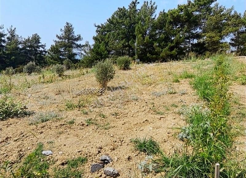 Menderes Çatalca'da Hobi Bahçeleri Meşe Emlak'tan - Görsel 24