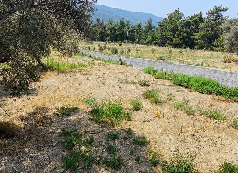 Menderes Çatalca'da Hobi Bahçeleri Meşe Emlak'tan - Görsel 23