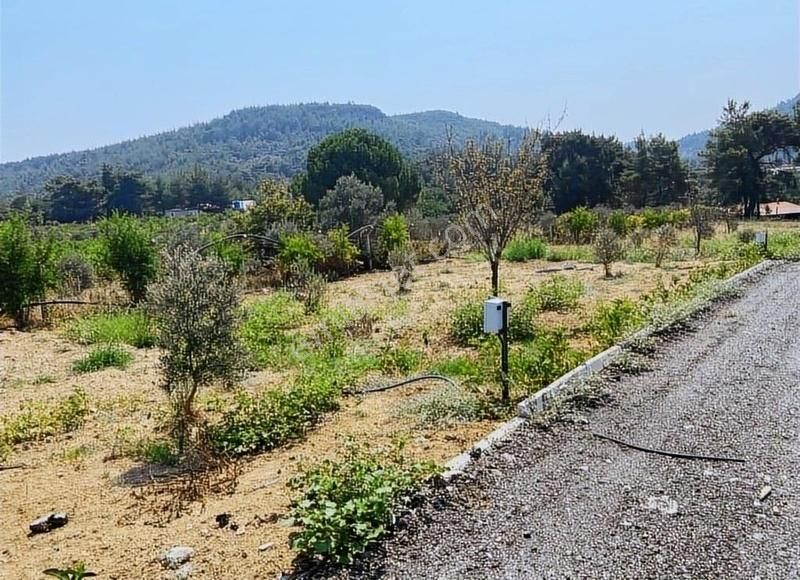 Menderes Çatalca'da Hobi Bahçeleri Meşe Emlak'tan - Görsel 21