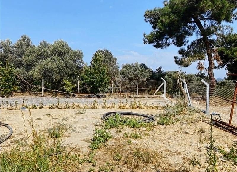 Menderes Çatalca'da Hobi Bahçeleri Meşe Emlak'tan - Görsel 31