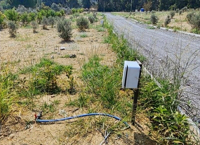 Menderes Çatalca'da Hobi Bahçeleri Meşe Emlak'tan - Görsel 30