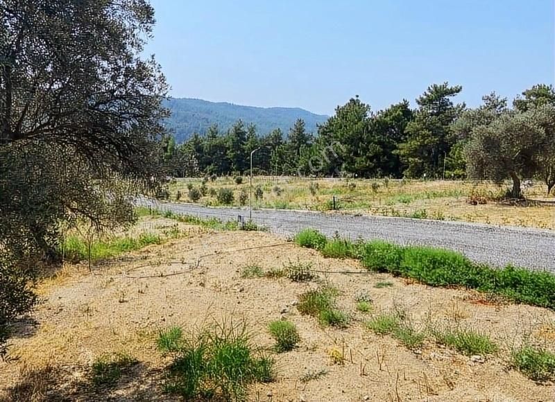 Menderes Çatalca'da Hobi Bahçeleri Meşe Emlak'tan - Görsel 8