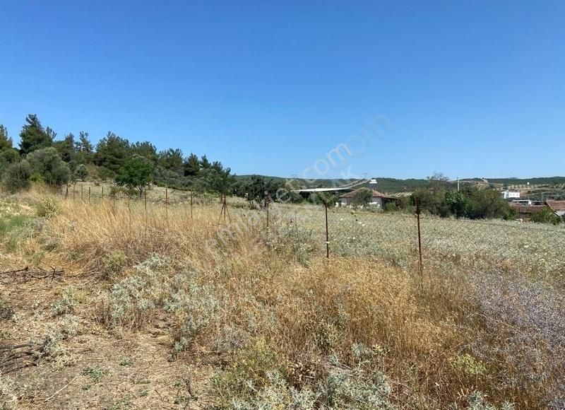 Menderes Akça Köyde Satılık Tek Tapu Meşe Emlak'tan - Görsel 13