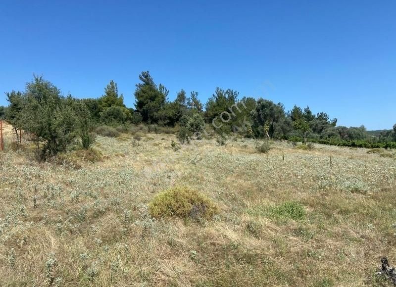 Menderes Akça Köyde Satılık Tek Tapu Meşe Emlak'tan - Görsel 20