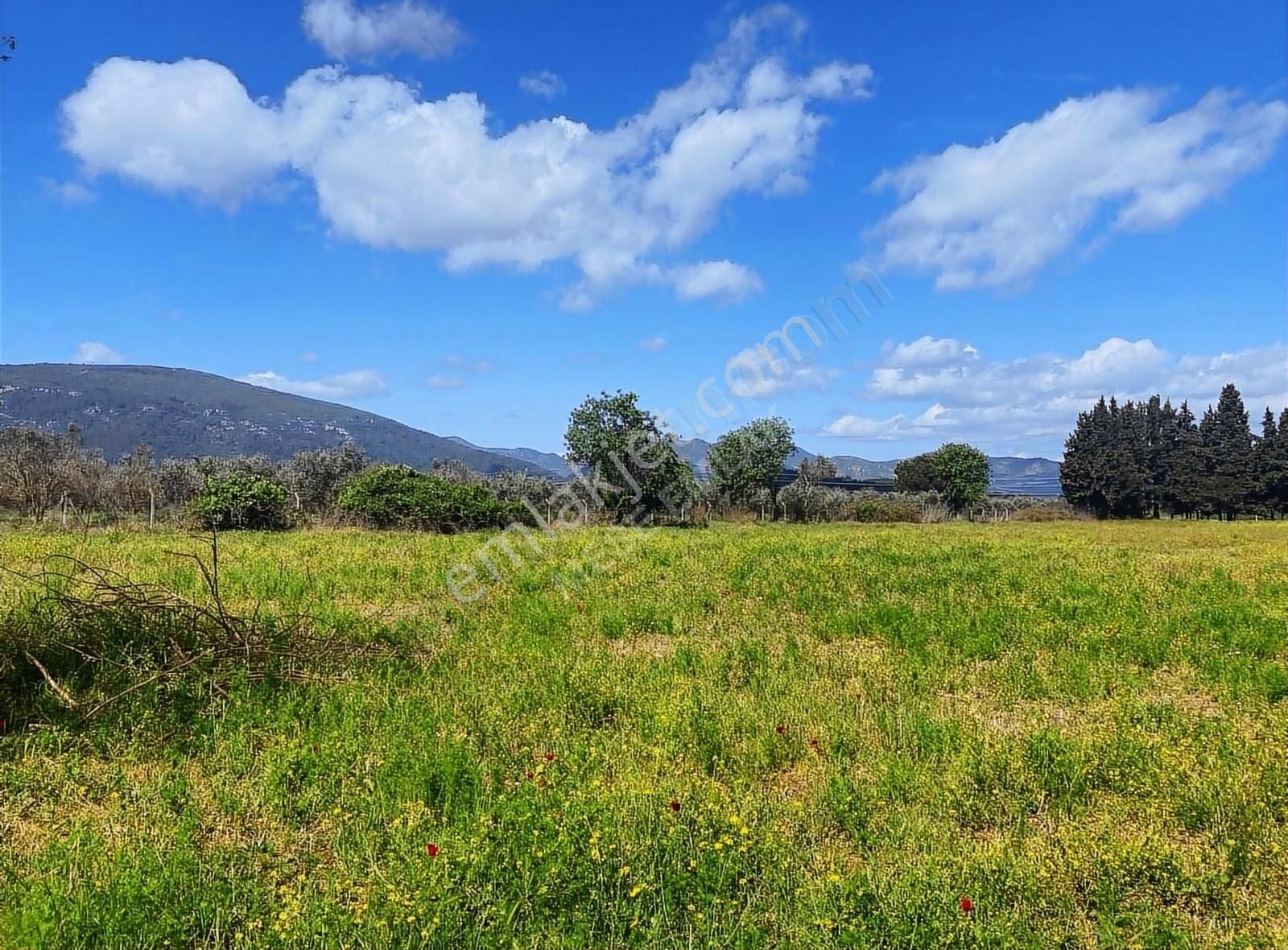 Menderes Değirmendere'de Satılık Tek Tapu Tarla - Görsel 11